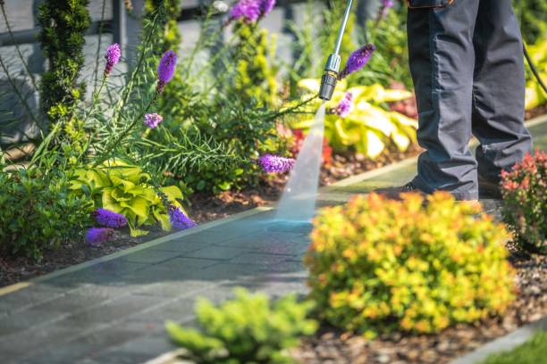 Best Driveway Pressure Washing  in Spencerville, NM